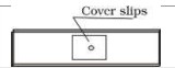 Cover slips