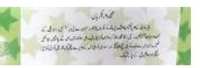 Urdu Story