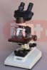 BINOCULAR RESEARCH MICROSCOPE