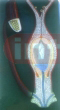FERTILIZATION OF THE ANGIOSPERM