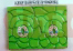 LEAF STOMATA MODEL