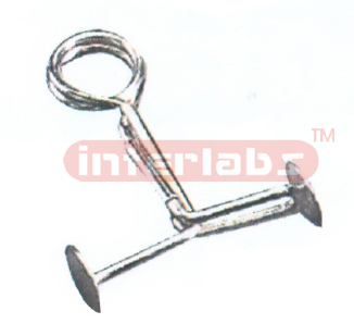 CLIPS