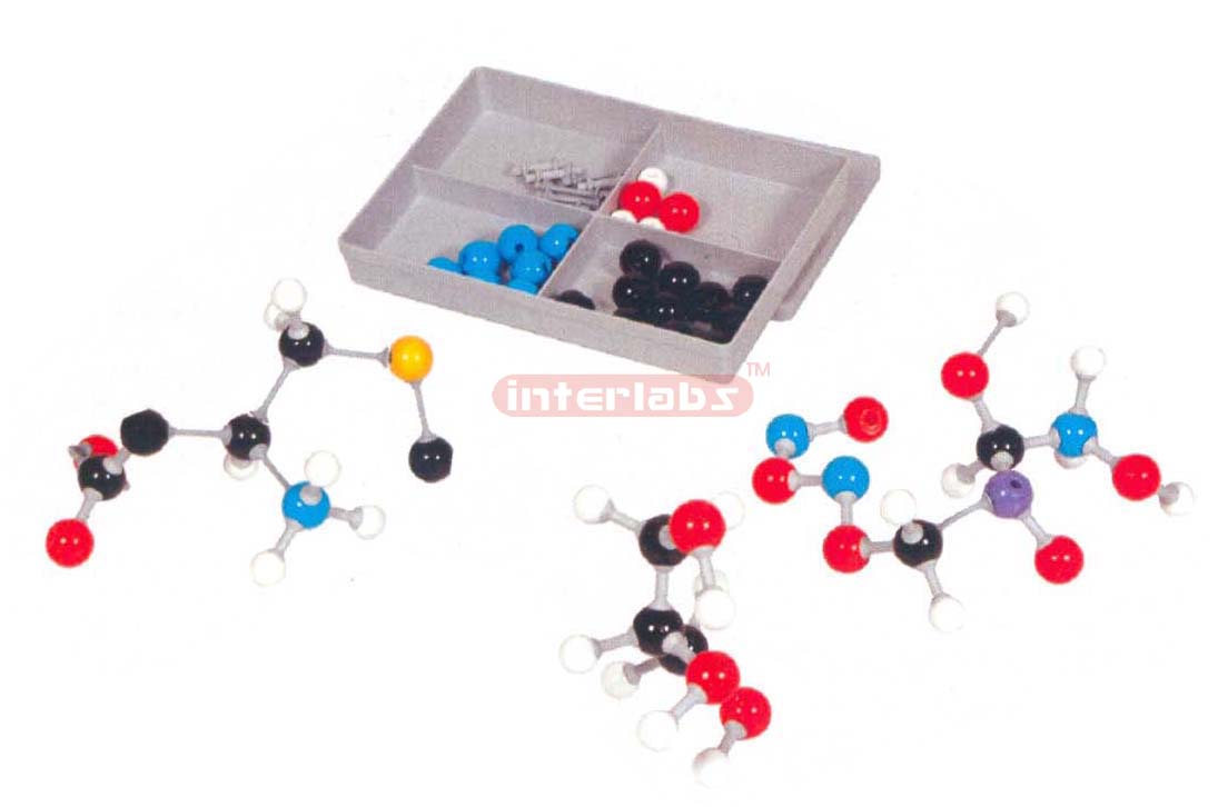 MOLECULAR MODELS SET