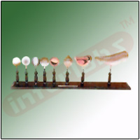 FROG DEVELOPMENT Exporter & Educational Laboratory Equipment