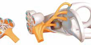 Labyrinth 2 Parts Exporter & Physics Laboratory Equipment Su