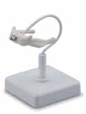 Hyoid Bone Exporter & Educational Laboratory Equipment Suppl