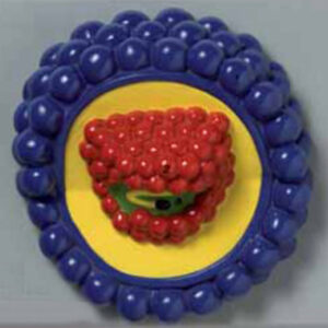 HIV Virus (virus responsible for AIDS) Exporter & Educationa