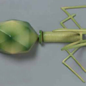 Bacteriophage T4 Exporter & Educational Laboratory Equipment