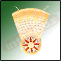 MONOCOT ROOT T.S. Exporter & Educational Laboratory Equipmen