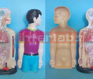 75 CM TALL