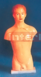 85 CM TALL
