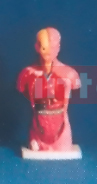 28 CM TALL