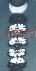 SAGITAL PLANE BRAIN MODEL (7 PCS ) Manufacturers and Suppliers From Ambala India