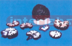 19 x 14 x 14 cm CORONAL BRAIN MODEL (7PCS) Manufacturers and Suppliers From Ambala India