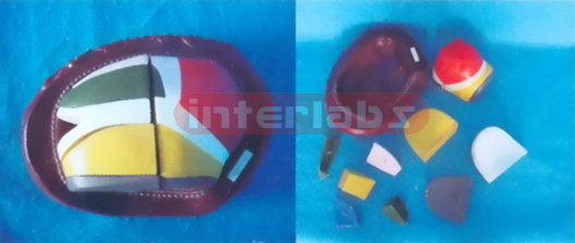 ENLARGED EXPANSION MODEL OF THE THALAMAS Manufacturers and Suppliers From Ambala India