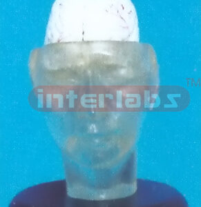 TRANSPARENT HEAD MODEL WITH 2-PCS BRAIN Manufacturers and Suppliers From Ambala India