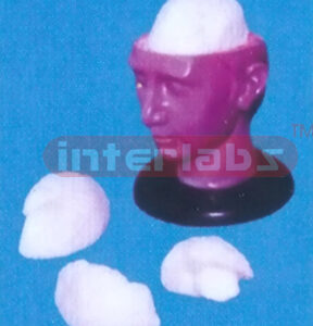 BIG DELUXE HEAD WITH 3-PCS BRAINS Manufacturers and Suppliers From Ambala India