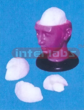 BIG DELUXE HEAD WITH 3-PCS BRAINS Manufacturers and Suppliers From Ambala India