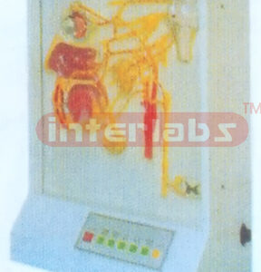 ELECTRIC MODEL OF AUTONOMIC INNERVATION ON HEAD Manufacturers and Suppliers From Ambala India