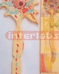 HUMAN ADVANCED COMPOSITIVE NERVES SYSTEM WOODEN PLATE Manufacturers and Suppliers From Ambala India