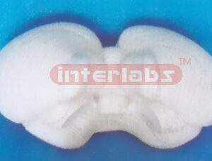 MAGNFIED CEREBELLUM MODELS (1 PCS) Manufacturers and Suppliers From Ambala India