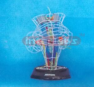 DEEP SENSATION AND VESTIBULE CONDUCTION MODEL Manufacturers and Suppliers From Ambala India