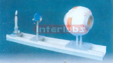 MODEL OF THE LIKENESS OF EYES Manufacturers and Suppliers From Ambala India
