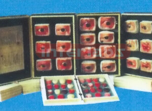 EYE BRAIN MODEL & TONGUE DISGNESIS MODEL (30 PCS) Manufacturers and Suppliers From Ambala India