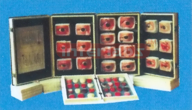 EYE BRAIN MODEL & TONGUE DISGNESIS MODEL (30 PCS) Manufacturers and Suppliers From Ambala India