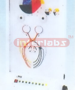 ELECTRIC CONDUCTION OF VISUAL ORGAN AND MYDRIASIS OR MYOSIS MODEL Manufacturers and Suppliers From Ambala India