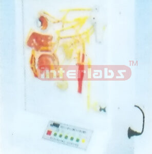 ELECTRIC MODEL OF AUTONOMIC  INNERVATION ON HEAD Manufacturers and Suppliers From Ambala India
