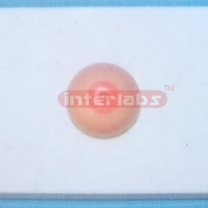 DESK-TYPE HEALTH BREAST MODEL Manufacturers and Suppliers From Ambala India