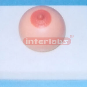 DESK-TYPE MORBIDITY BREAST MODEL Manufacturers and Suppliers From Ambala India