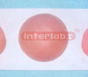 STANDARD FEMALE BREAST SELF EXAMINATION-LEARN MODEL EURO STYLE Manufacturers and Suppliers From Ambala India