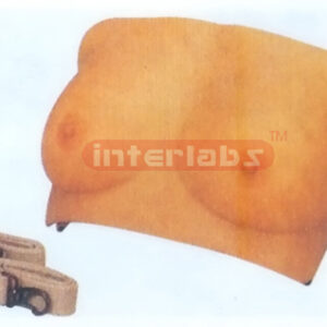 ADVANCED BREAST PALPATION Manufacturers and Suppliers From Ambala India