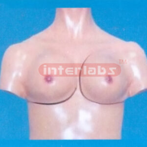 DELUXE BREAST EXAMINATION SIMULATOR Manufacturers and Suppliers From Ambala India