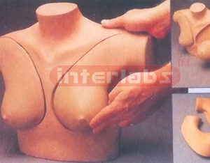DELUXE BREAST SELF EXAMINATION SIMULATOR Manufacturers and Suppliers From Ambala India