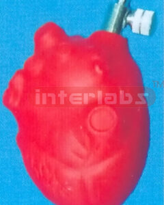 MEDICAL HEART TYPE PUMP Manufacturers and Suppliers From Ambala India
