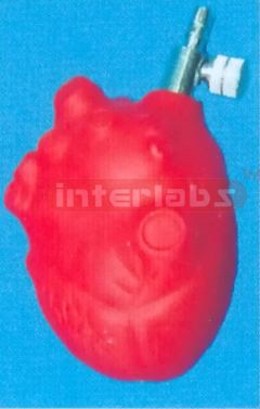 MEDICAL HEART TYPE PUMP Manufacturers and Suppliers From Ambala India
