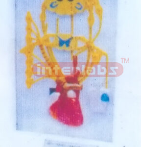 ELECTRIC MODEL OF HEART NERVE Manufacturers and Suppliers From Ambala India