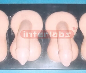 MALE NORMAL GENITAL ORGAN MODEL Exporter & Educational Labor