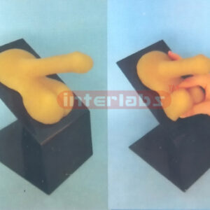 EMULATED MALE CONDOM TEACHING SIMULATOR AND FEMALE CONSOLE O