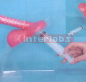 CONDOM TEACHING SIMULATOR Exporter & Educational Laboratory