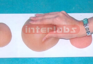 FEMALE BREAST SELF CHECKING DEMOMONSTRATIONG MODELS Exporter