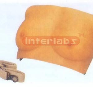 ADVANCED BREAST PALPATION TRAINING MODEL Exporter & Educatio