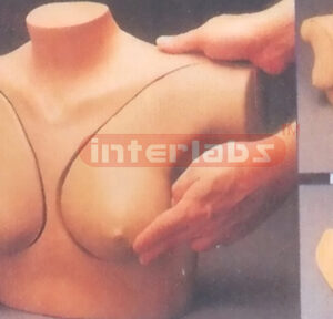 DELUXE BREAST SELF EXAMIMATION  SIMULATOR Exporter & Educati