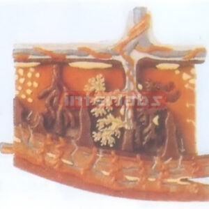 HUMAN PLACENTA MODEL FOR TISSUE STRUCTURES Exporter & Educat