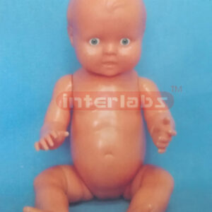 BIG BORN FEMALE BABA MODEL Exporter & Educational Laboratory