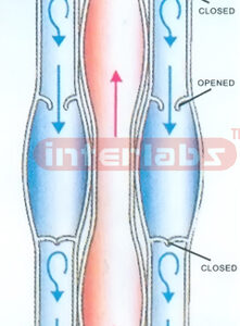 BLOOD DEMONSTRATION MODEL Manufacturers and Suppliers From Ambala India