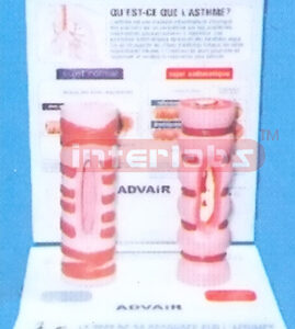 HUMAN HEALTH AND DISEASED TRACHEA COMPARISON MODELS (B TYPE)